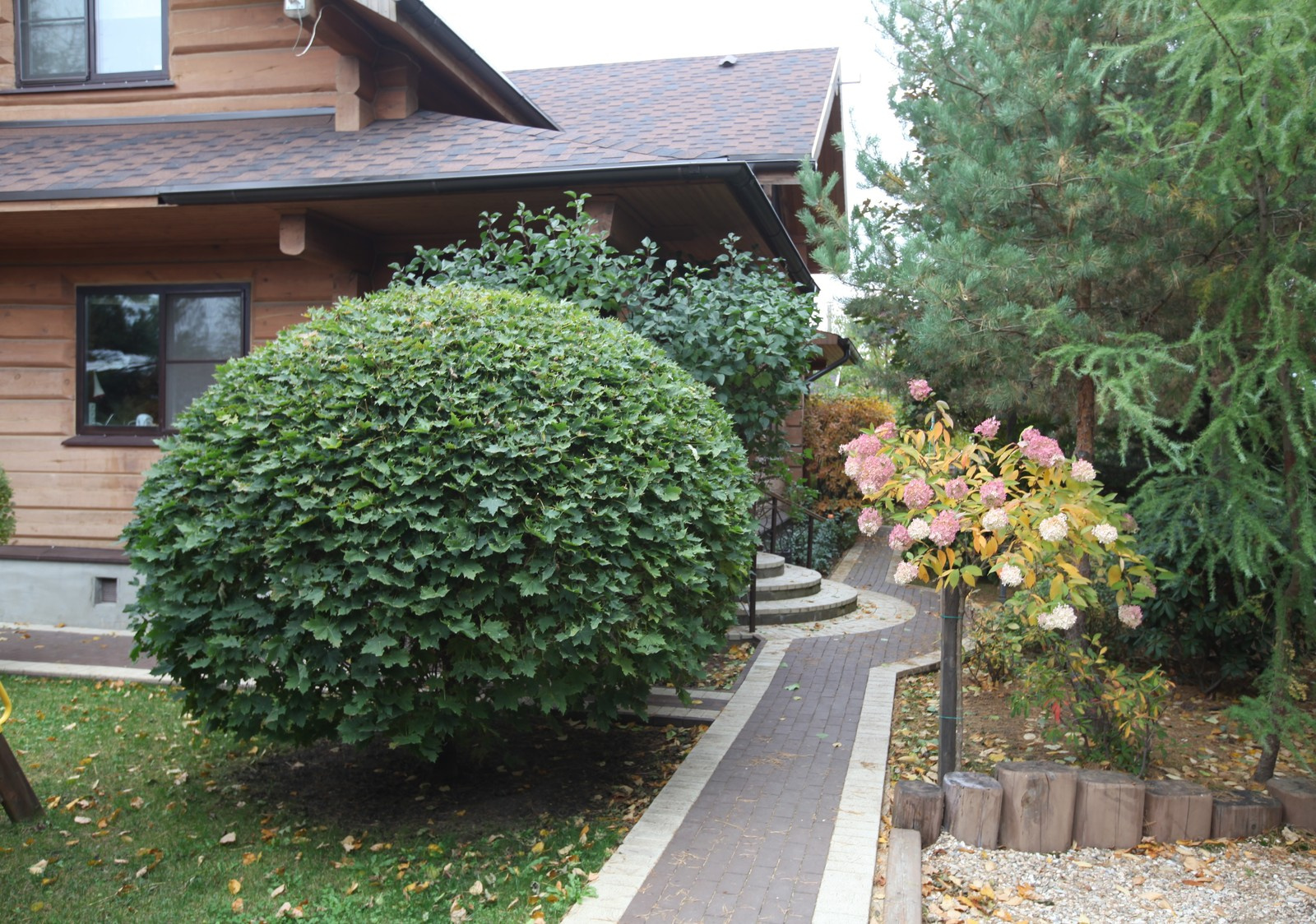 Буйство красочных форм в осеннем саду