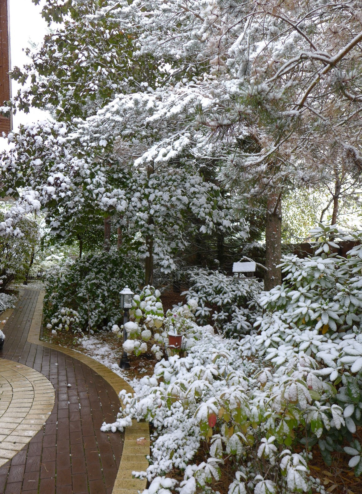 Буйство красочных форм в осеннем саду