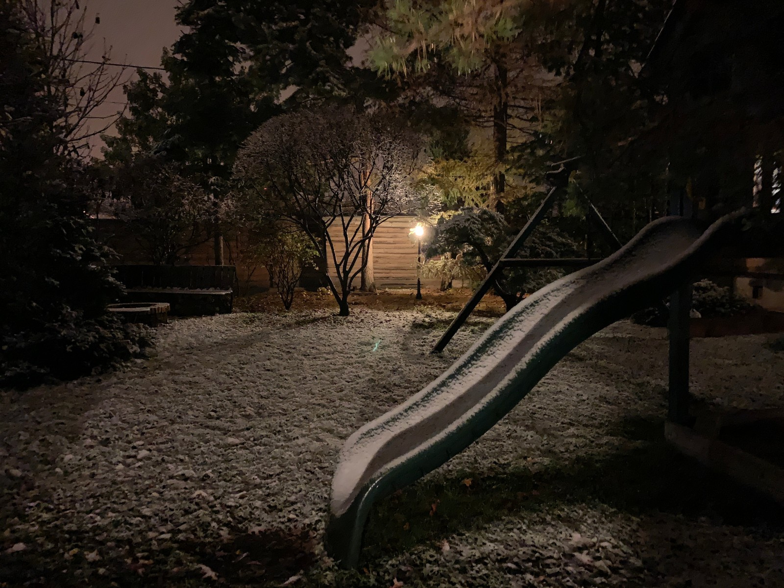 Буйство красочных форм в осеннем саду