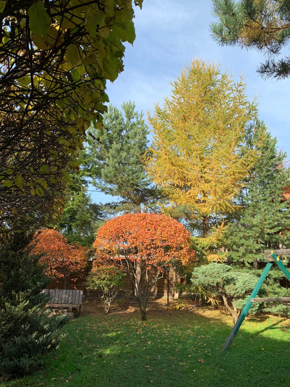 Буйство красочных форм в осеннем саду