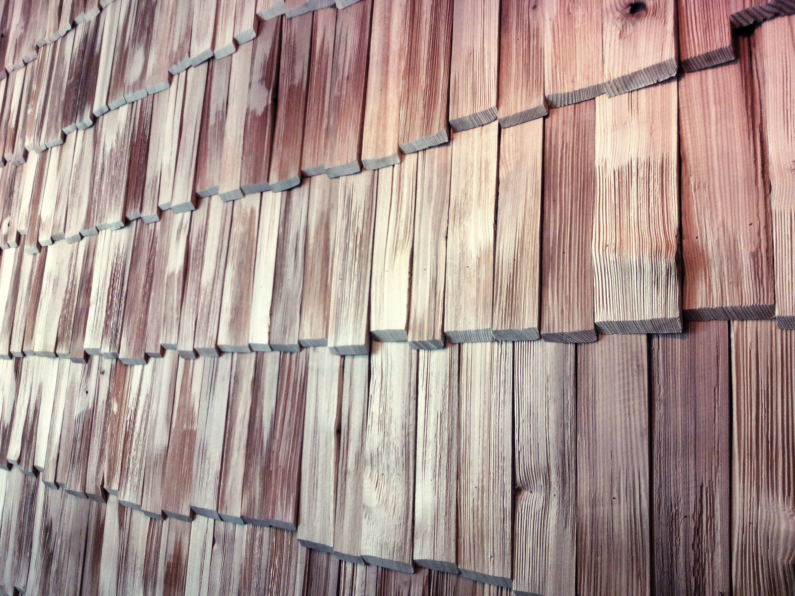 Обложка проекта: Кафе-пекарня