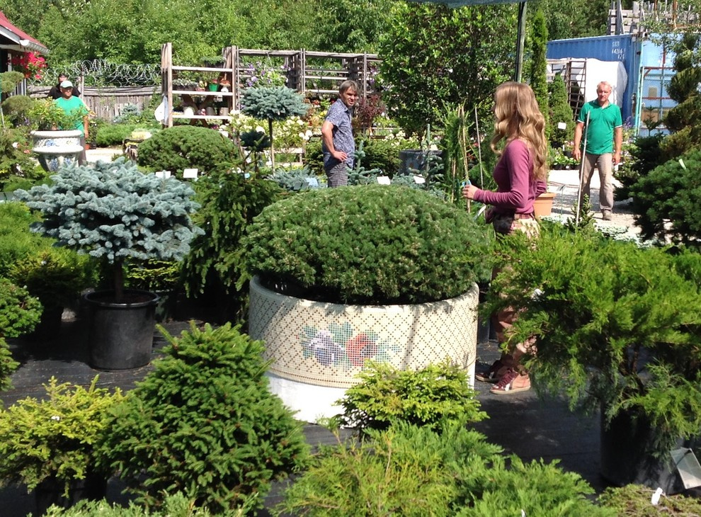 Формы и мозаика для благоустройства