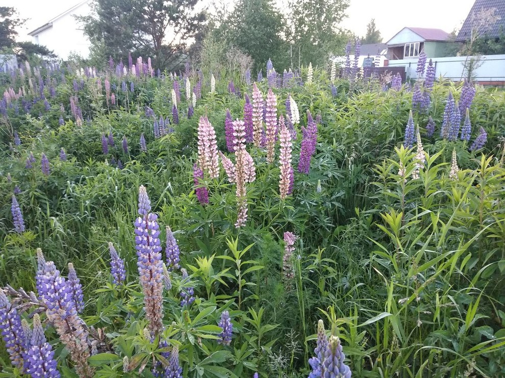 строительные работы. детали.