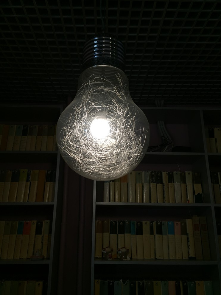 Innerspace Big Lamp для ветеринарного кабинета