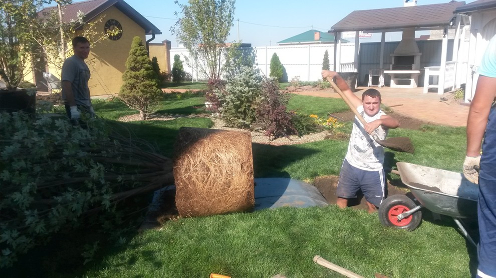 Работа началась с посадки крупных кленов, которые дали тень и каркас саду