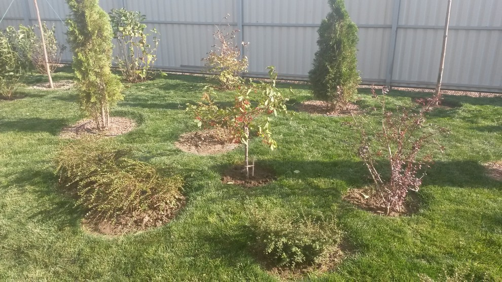 Таким был участок ,,,