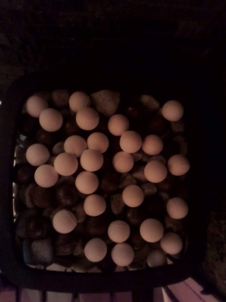 Баба Яга и друг Леший