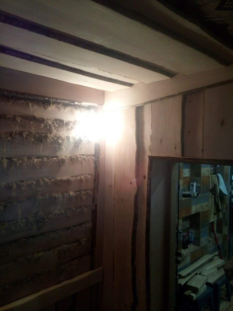 Баба Яга и друг Леший