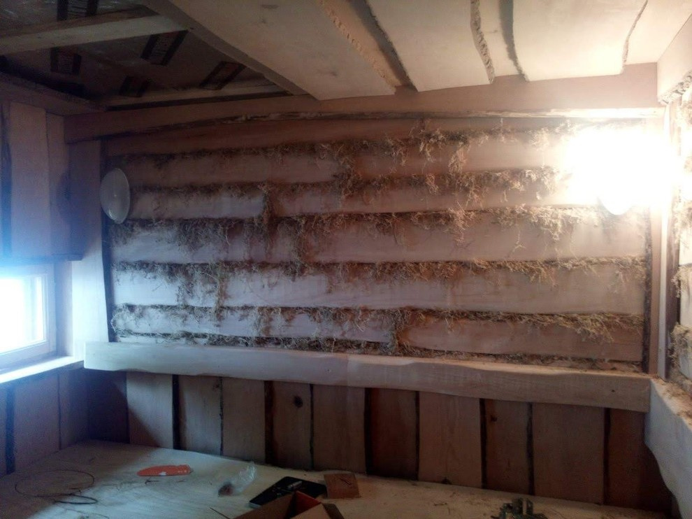 Баба Яга и друг Леший