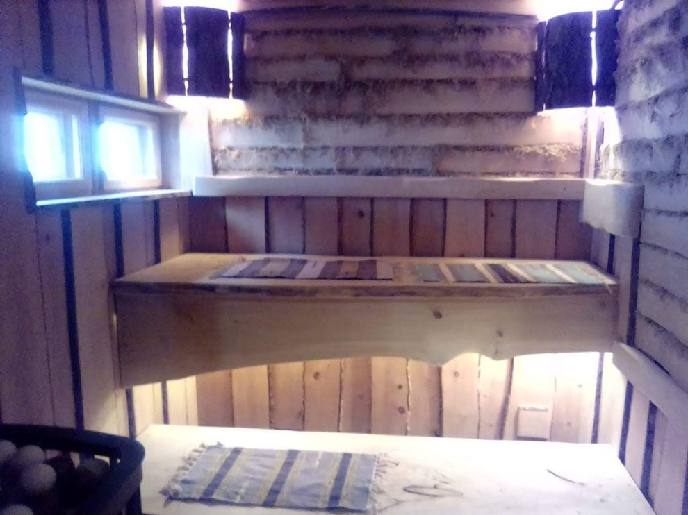 Баба Яга и друг Леший