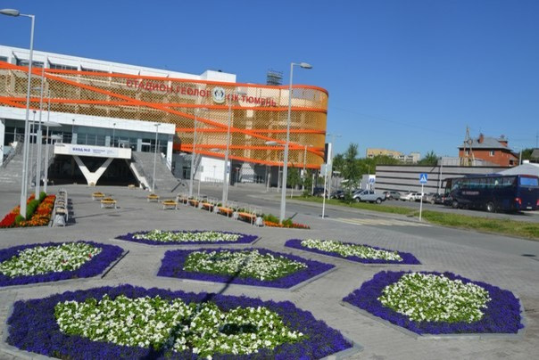 Озеленение