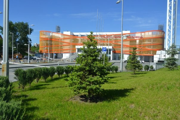 Озеленение