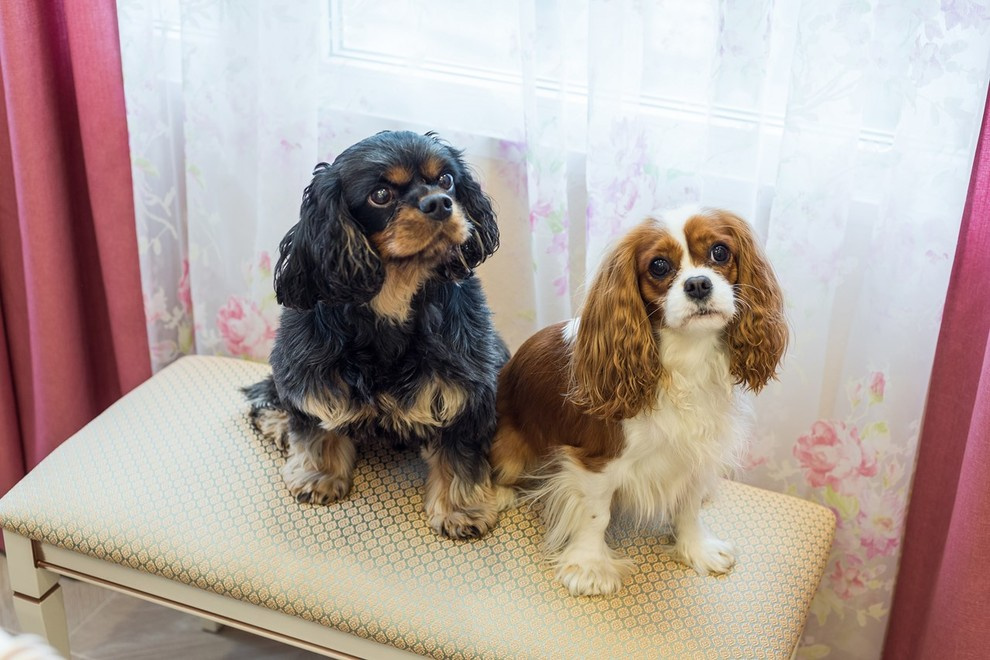 Дизайн интерьера кухни в стиле прованс