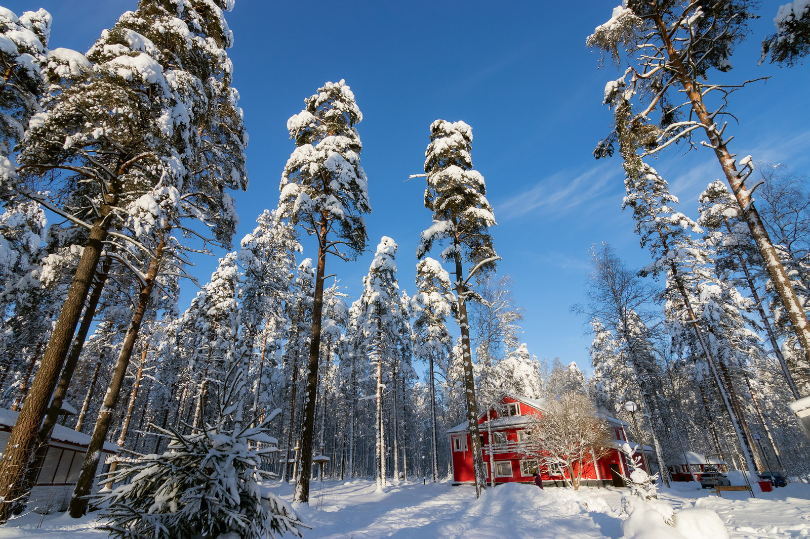 База отдыха "Радуга". Зимняя сказка