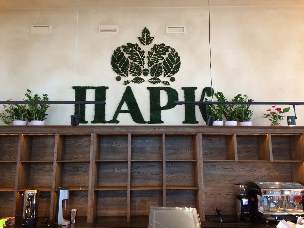 Обложка проекта: Корона из стабилизированного мха