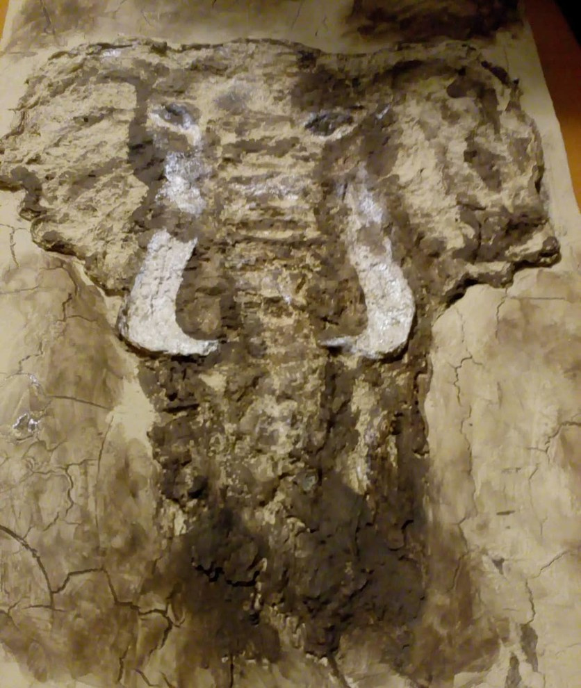 Обложка проекта: Рельефное панно СЛОН