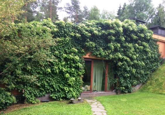 Средиземье в знаменитом Репино