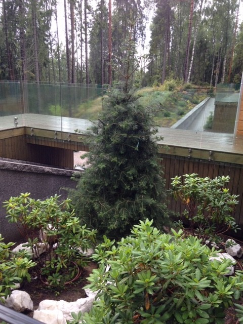 Семейный сад