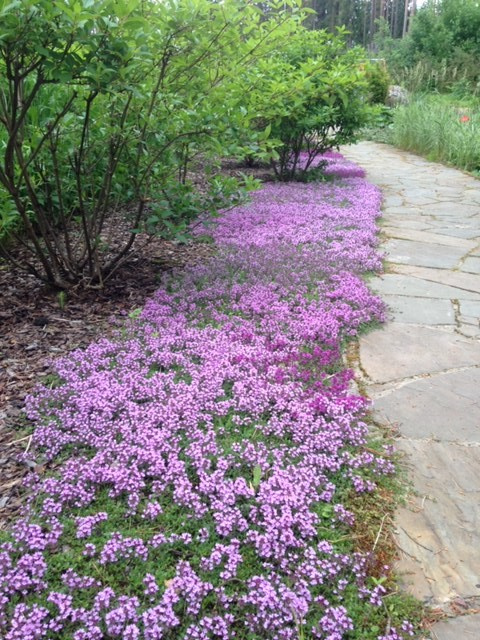 Семейный сад