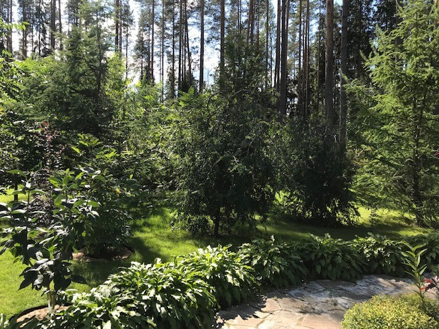 Семейный сад