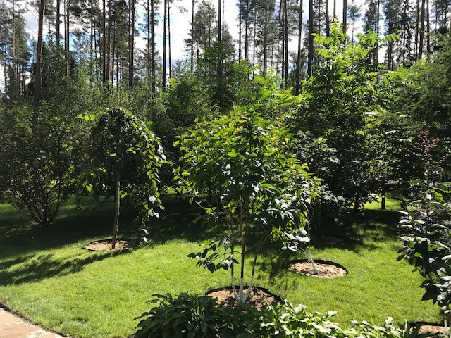 Семейный сад