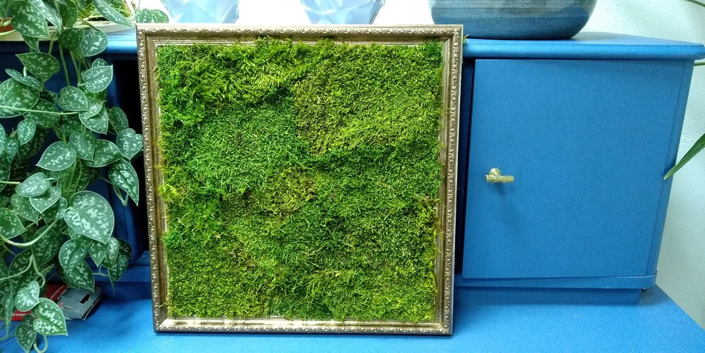 Фитокартины из мха