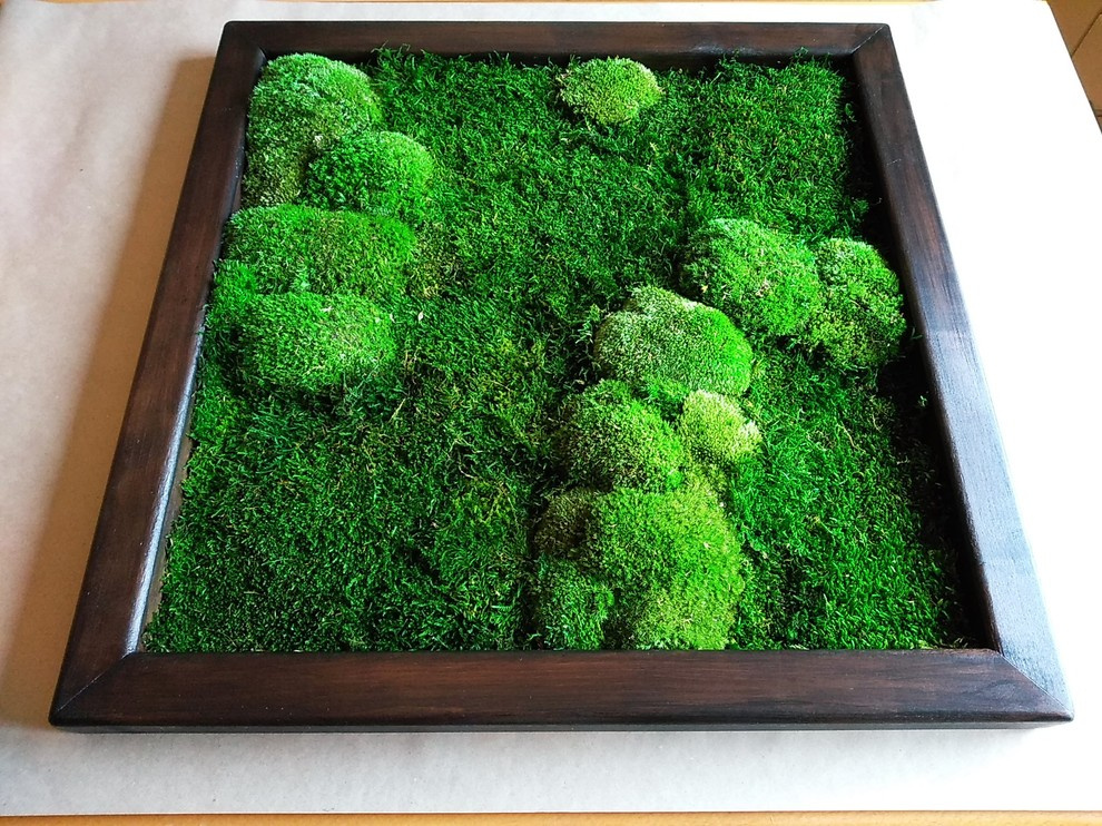 Фитокартины из мха