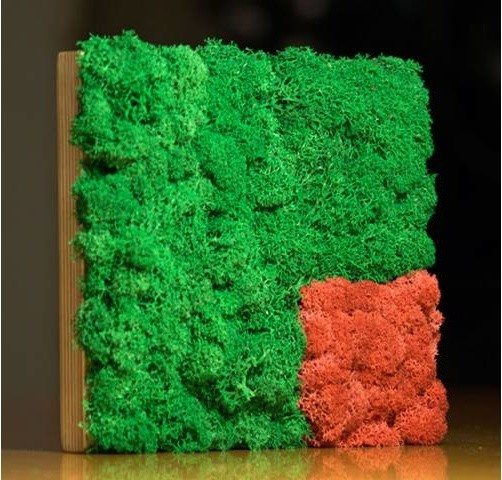 Фитокартины из мха