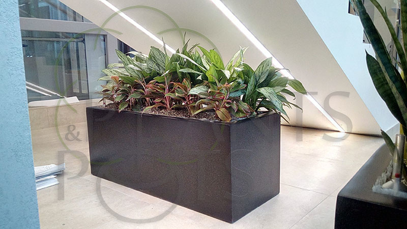 Медицинский центр в Москве