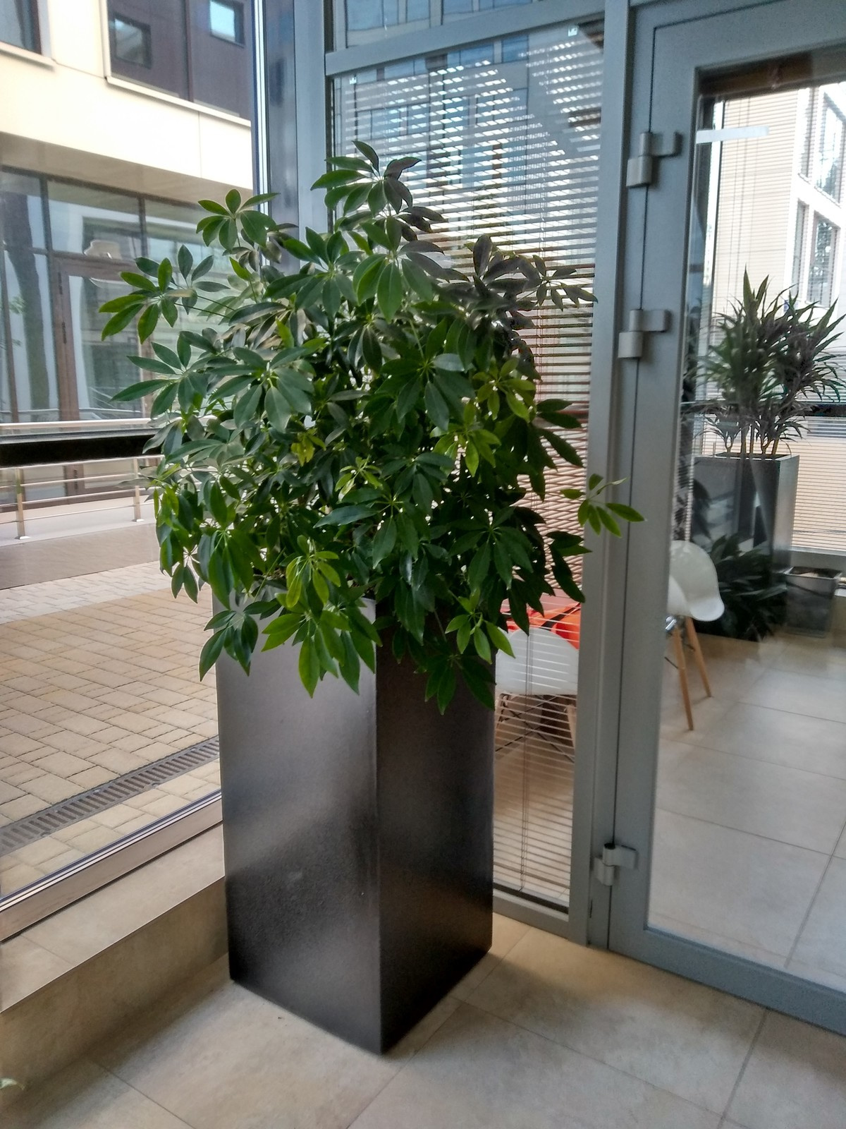 Медицинский центр в Москве