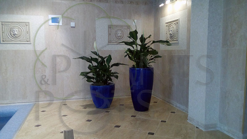 Частные аппартаменты