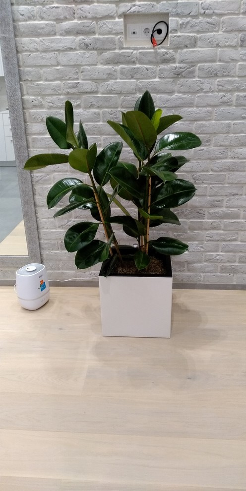 Частные аппартаменты