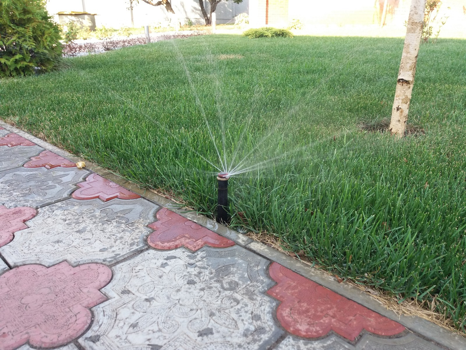 Система автоматического полива