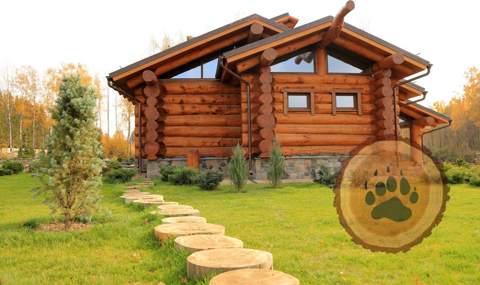 Живи и радуйся!