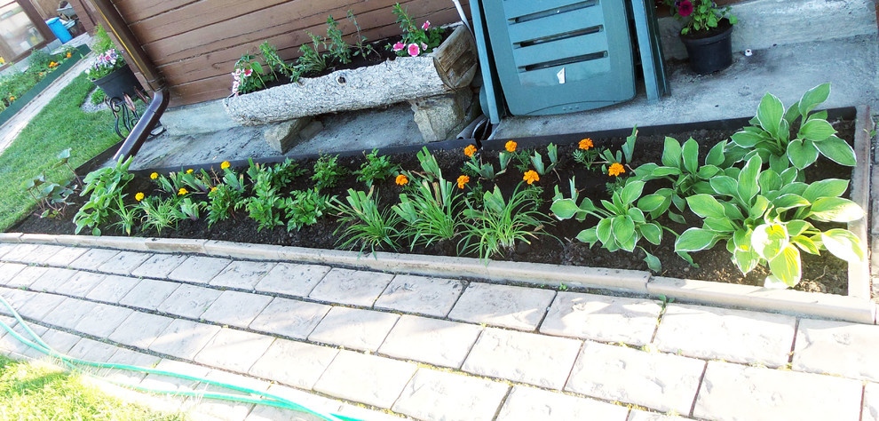 Цветники и композиции