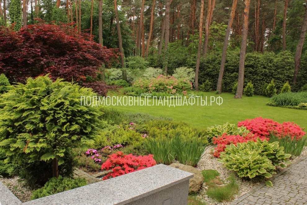 Проекты 2014-2017