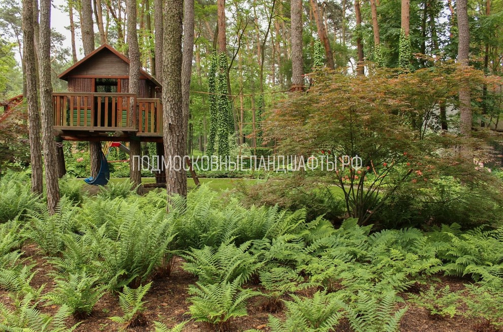 Проекты 2014-2017