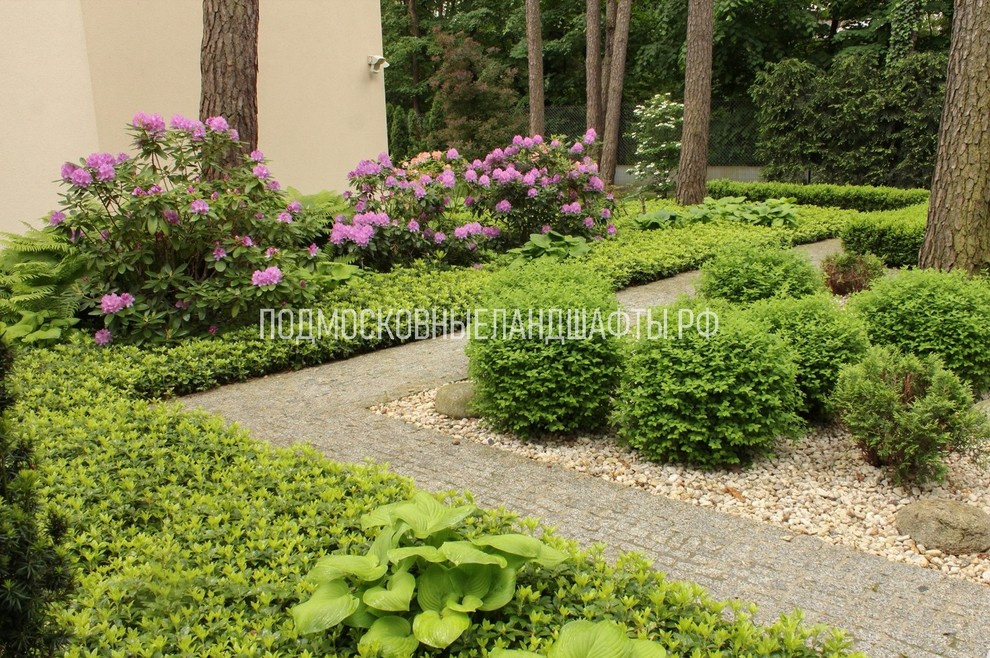 Проекты 2014-2017