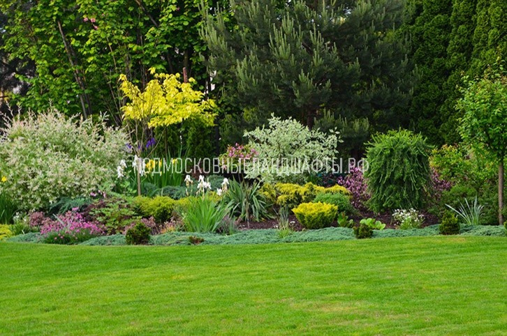 Проекты 2014-2017