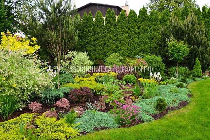 Проекты 2014-2017