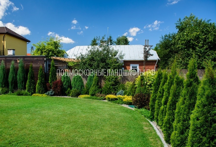 Проекты 2014-2017