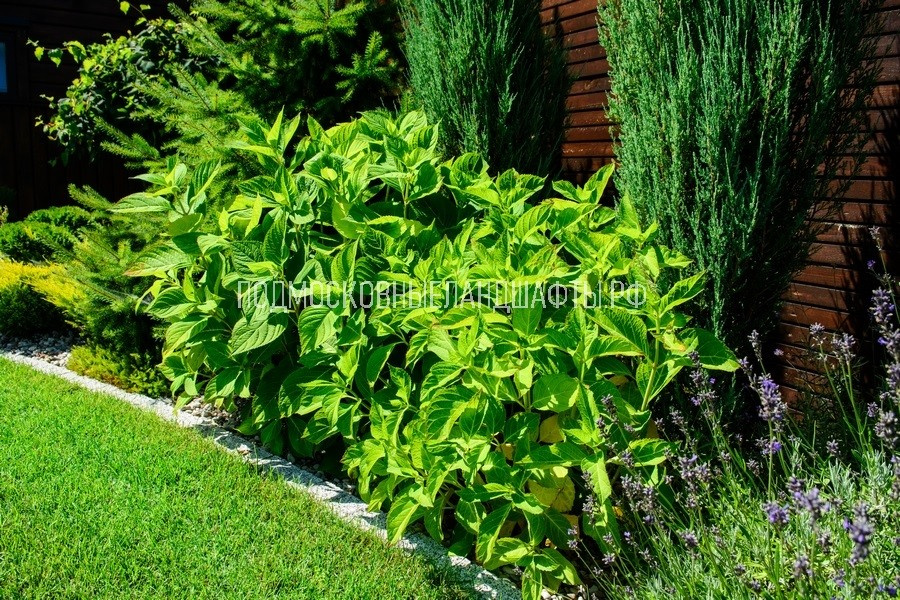 Проекты 2014-2017