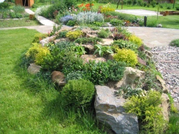 Озеленение