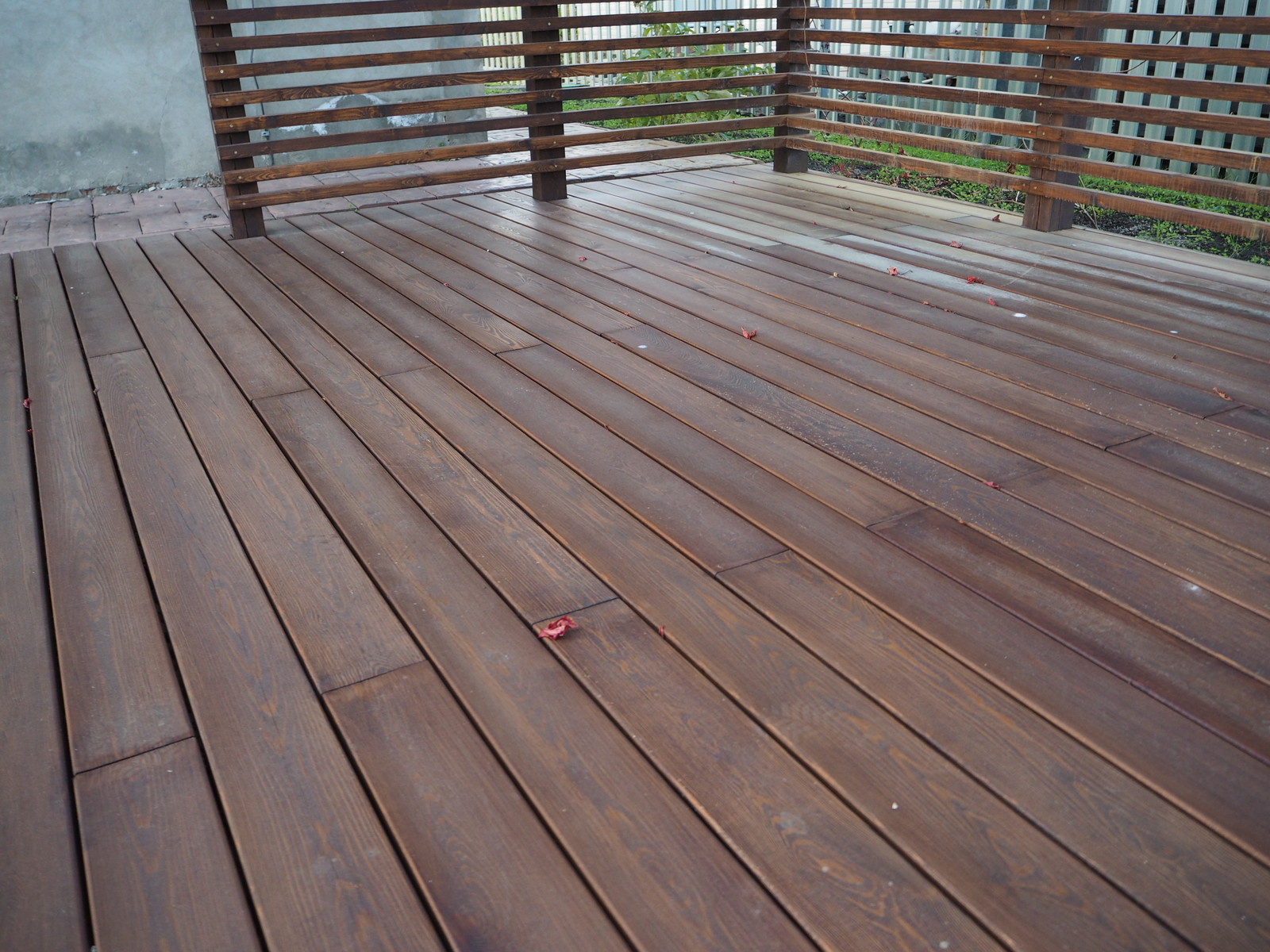 Натуральное дерево в саду