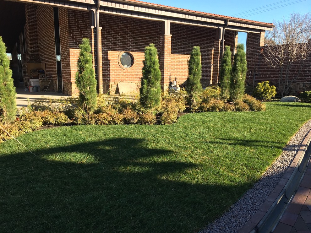 Колоновидные сосны Grin Tower