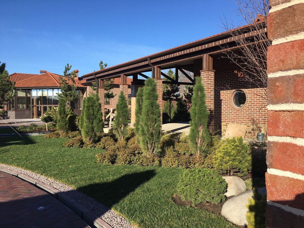 Колоновидные сосны