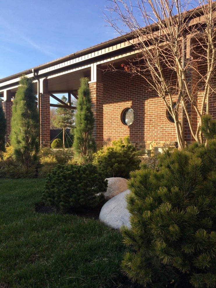 Ирга и сосны - отличное сочетание