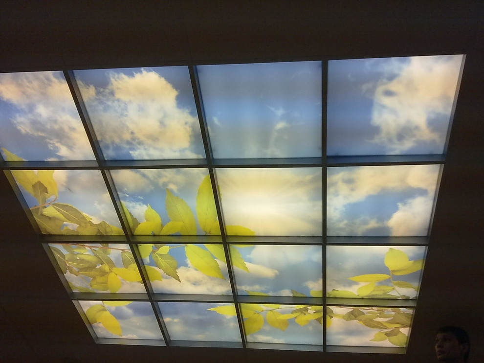 Фотопотолок