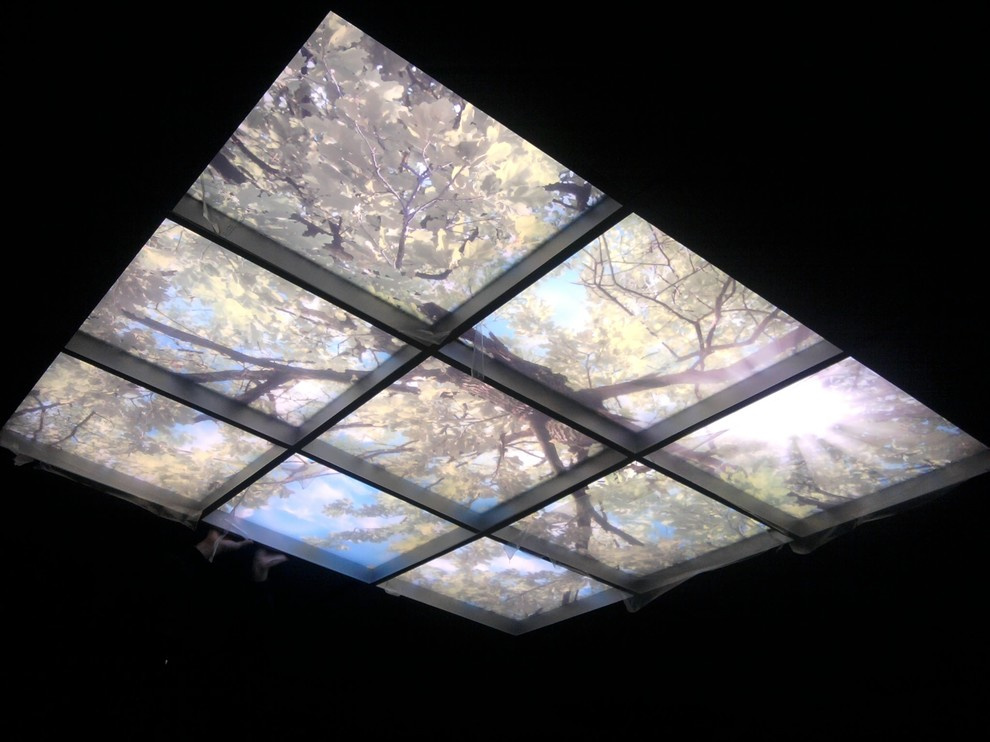 Фотопотолок