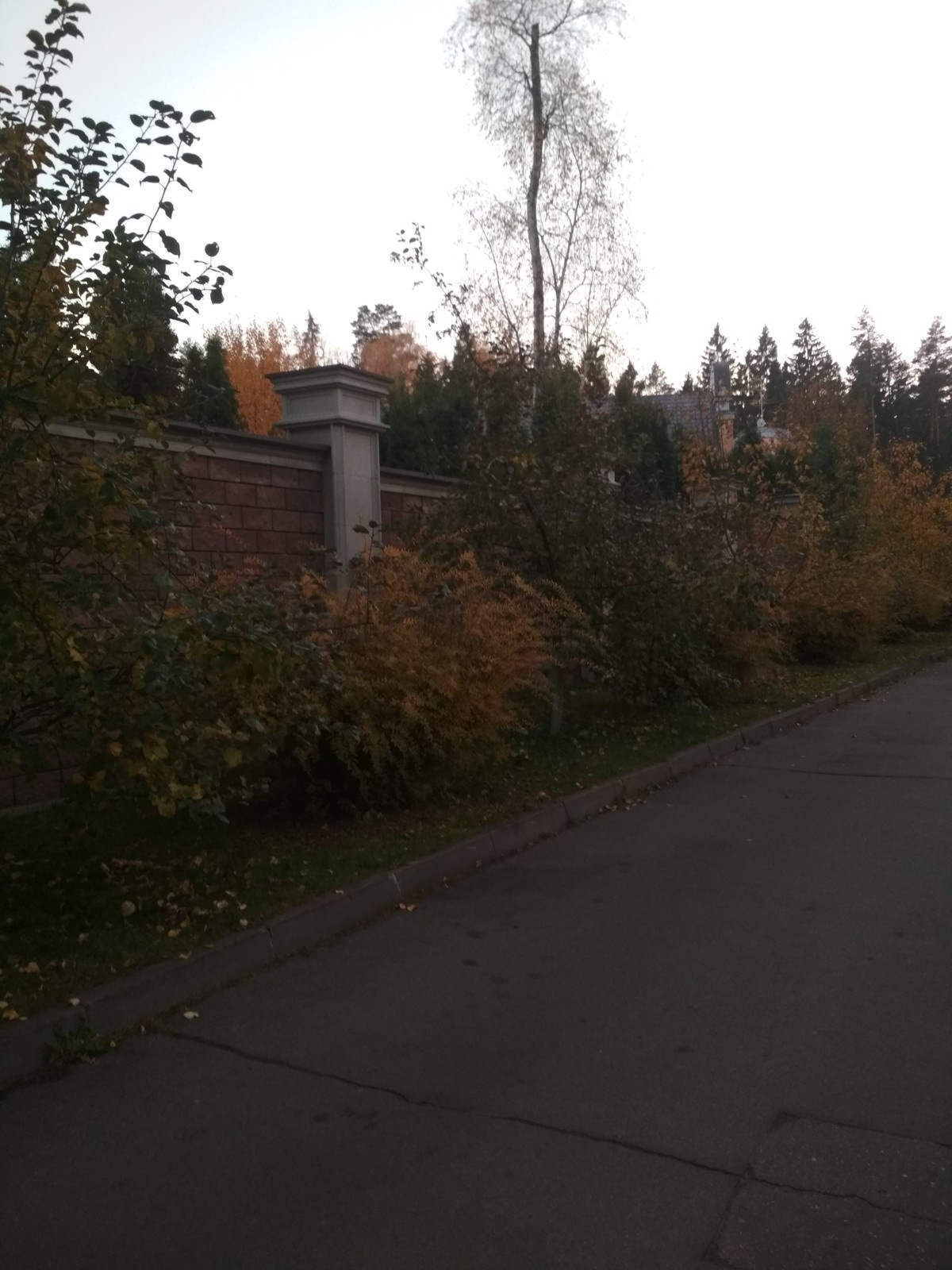 Отливы и козерк